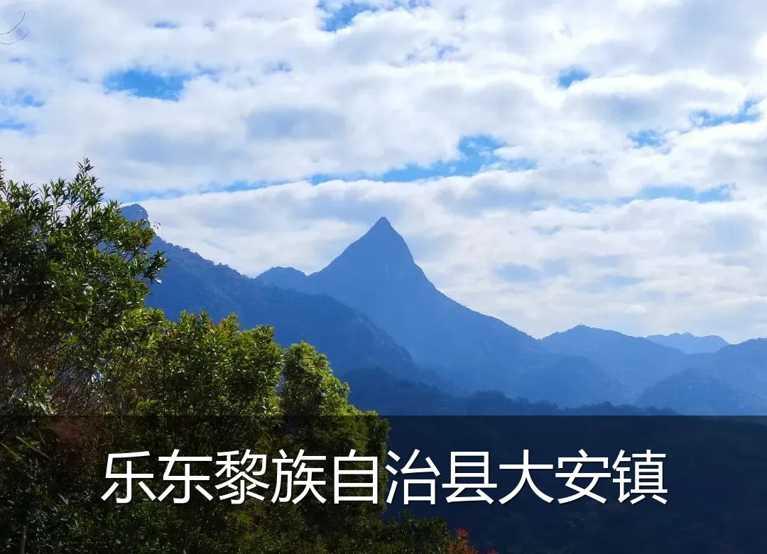 乐东黎族自治县大安镇