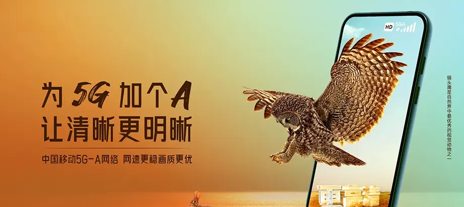 大安乐东黎族自治县大安镇 移动宽带
